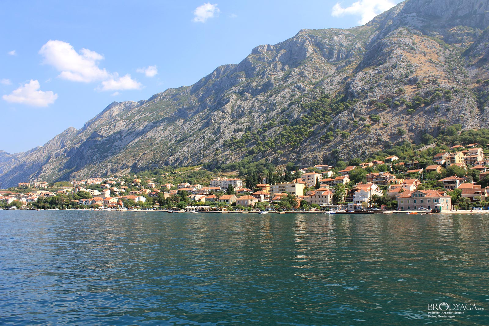 Kotor